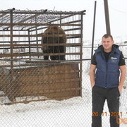 ���������� ����������, ���� ������� ������, 45 ���, ������������ ��� ������