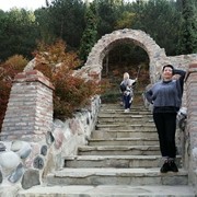  ,   Elvira, 54 ,     , c 