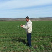 ���������� ������, ���� ������� ����, 69 ���, ������������ ��� ������, ����� � ���������, c�������� ���������