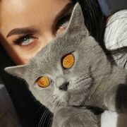  ,   , 20 ,   c , 