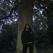  ,   , 33 ,   ,   