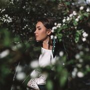 ���������� ������, ���� ������� ���������, 25 ���, ������������ ��� ������, ����� � ���������