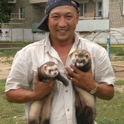 ���������� ����������, ���� ������� ����, 41 ���, ������������ ��� ������, ����� � ���������