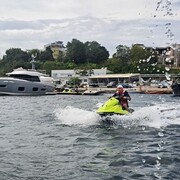 ���������� �������, ���� ������� ������, 41 ���, ������������ ��� ������, ����� � ���������