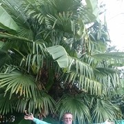  ,   , 68 ,   
