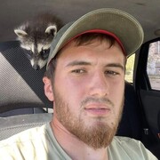 ���������� ������, ���� ������� �������, 29 ���, ������������ ��� ������, ����� � ���������