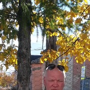  -,   , 50 ,   