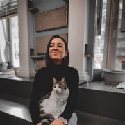  ,   , 28 ,     , c 