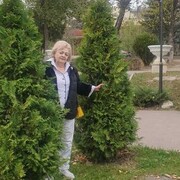 ,   , 65 ,   c , 