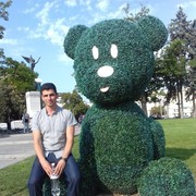 ���������� �������, ���� ������� ������, 36 ���, ������������ ��� ������, ����� � ���������, c�������� ���������