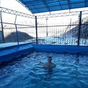 ���������� ������, ���� ������� ������, 38 ���, ������������ ��� ������, ����� � ���������, c�������� ���������