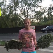 ���������� ������, ���� ������� ���������, 36 ���, ������������ ��� ������, ���������