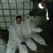 ���������� ��������, ���� ������� ����, 40 ���, ������������ ��� ������, ����� � ���������, c�������� ���������