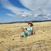 ���������� �����������, ���� ������� �������, 50 ���, ������������ ��� c�������� ���������