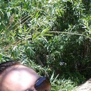  -,   , 35 ,   ,   , c 