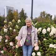 ���������� �����, ���� ������� ���, 52 ����, ������������ ��� ����� � ���������, c�������� ���������