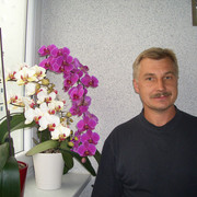  ,   , 52 ,   