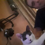  -,   , 35 ,   ,   , c , 