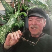 ���������� �����������, ���� ������� Aleks, 64 ����, ������������ ��� ������, ����� � ���������