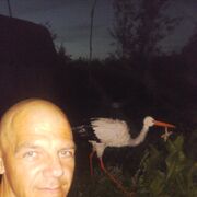   ,   , 48 ,  