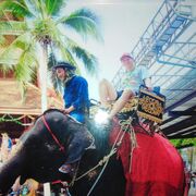 �������