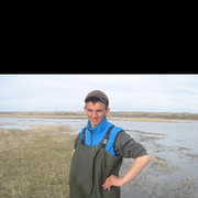 ���������� �����, ���� ������� ����, 31 ���, ������������ ��� ������, ����� � ���������, c�������� ���������