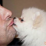 ���������� �������, ���� ������� Tima, 48 ���, ������������ ��� ������, ����� � ���������, c�������� ���������