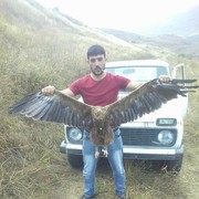  ,   VALER, 33 ,   ,   , c 