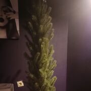 ���������� �������, ����