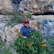  ,   , 60 ,   ,   , c 