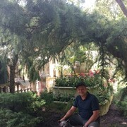 ���������� ���������, ���� ������� ���������, 38 ���, ������������ ��� ������, ����� � ���������, c�������� ���������