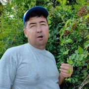  ,   , 52 ,   ,   