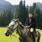 ���������� ������, ���� ������� Wiss, 28 ���, ������������ ��� ������, ����� � ���������, c�������� ���������