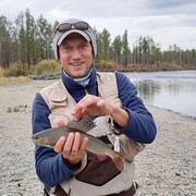 ���������� ������, ���� ������� ���������, 50 ���, ������������ ��� ������, ����� � ���������, c�������� ���������