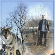 ���������� ����������, ���� ������� Ը���, 41 ���, ������������ ��� ������