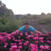 ���������� ������, ���� ������� ��������, 41 ���, ������������ ��� ������, ����� � ���������, c�������� ���������