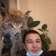 ���������� ���, ���� ������� ������, 41 ���, ������������ ��� ������, ����� � ���������, c�������� ���������