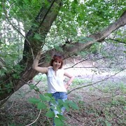  ,   , 41 ,     , c 