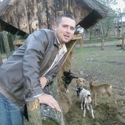  ,   Dachnik2401, 43 ,   