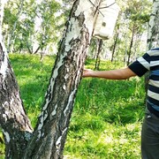 ���������� �������, ���� ������� ���������, 56 ���, ������������ ��� ������, ����� � ���������, c�������� ���������