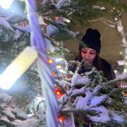 ���������� �����, ���