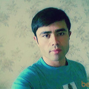  ,   Doni, 37 ,   ,   , c 