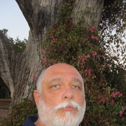  Mazkeret Batya,   Pum, 61 ,   ,   , c , 