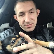 ���������� �����-���������, ���� ������� �������, 40 ���, ������������ ��� c�������� ���������