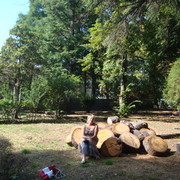 ���������� ������������, ���� ������� ������, 61 ���, ������������ ��� ������, ����� � ���������, c�������� ���������