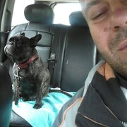 ���������� �����, ���� ������� �����, 50 ���, ������������ ��� ����� � ���������, c�������� ���������