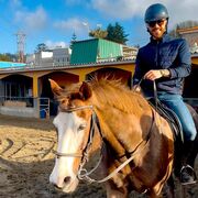 ���������� �����������, ���� ������� ���������, 39 ���, ������������ ��� ������, ����� � ���������