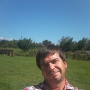  ,   , 48 ,  