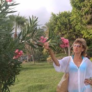  ,   , 53 ,   ,   , c 