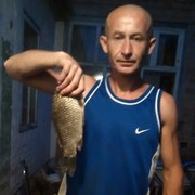  ,   , 43 ,   